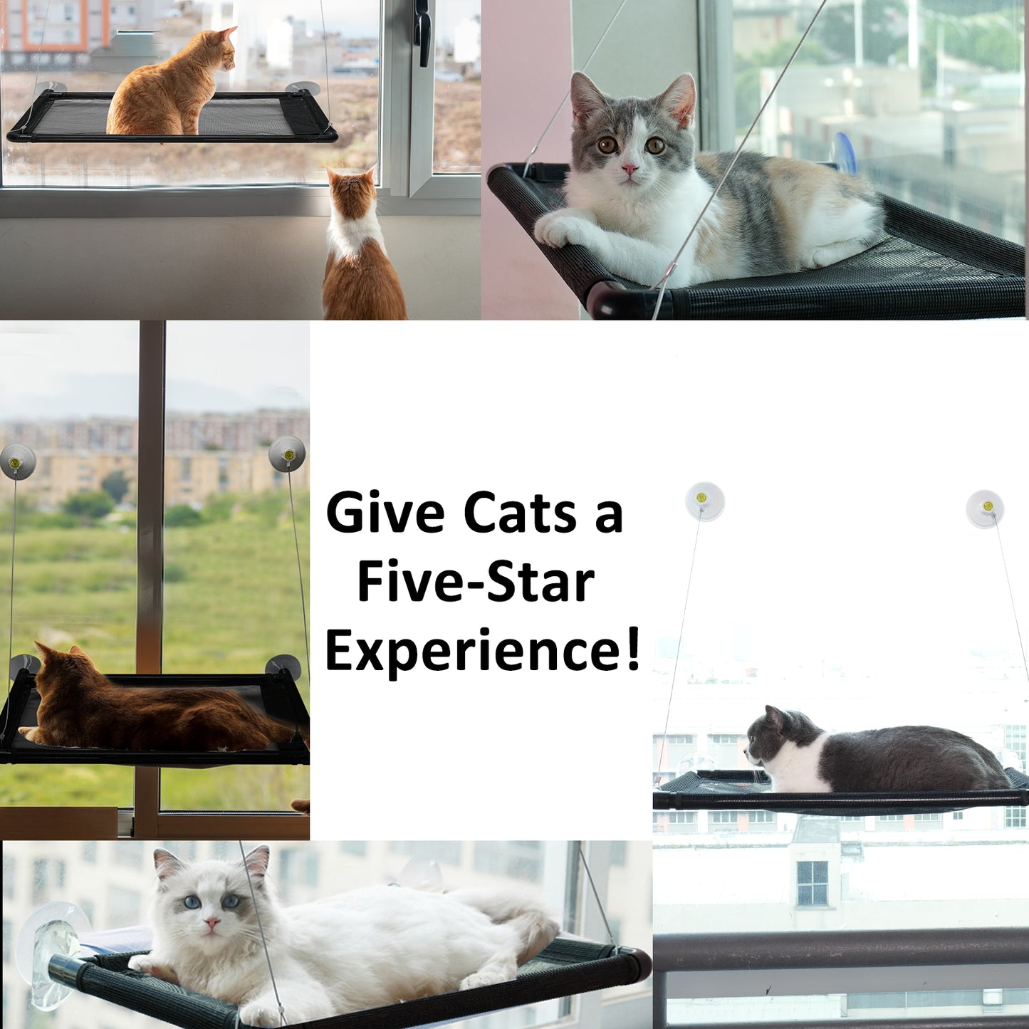 Cat Window Perch, ORFELD Cat Hammock Window Seat L 24" x W 15", Safety Cat Shelves, Black