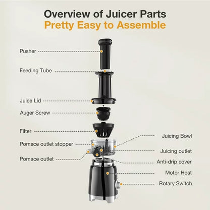 ORFELD Juicer Machine, Slow Masticating Cold Press Juicer for Fruits and Vegetables, BPA-Free, Black