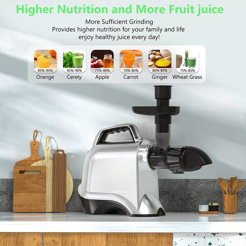 Slow Masticating Juicer for Cold Press, Easy to Clean & Use, Celery Juice Extractor, Wheatgrass Juice Extractor, High Juice Yield & Fresh Taste (Silver)
