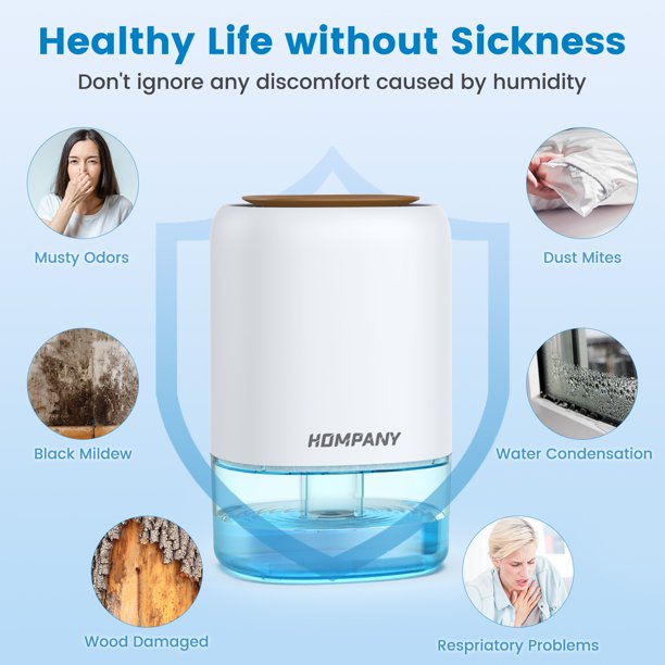HOMPANY Dehumidifier, 38oz 1100ml Dehumidifiers, 2200 Cubic feet 240sq ft Dehumidifier with 7 Colors LED Light and Auto Shut-off for Basements, Bathroom, Bedroom