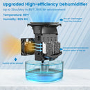 HOMPANY Dehumidifier, 38oz 1100ml Dehumidifiers, 2200 Cubic feet 240sq ft Dehumidifier with 7 Colors LED Light and Auto Shut-off for Basements, Bathroom, Bedroom