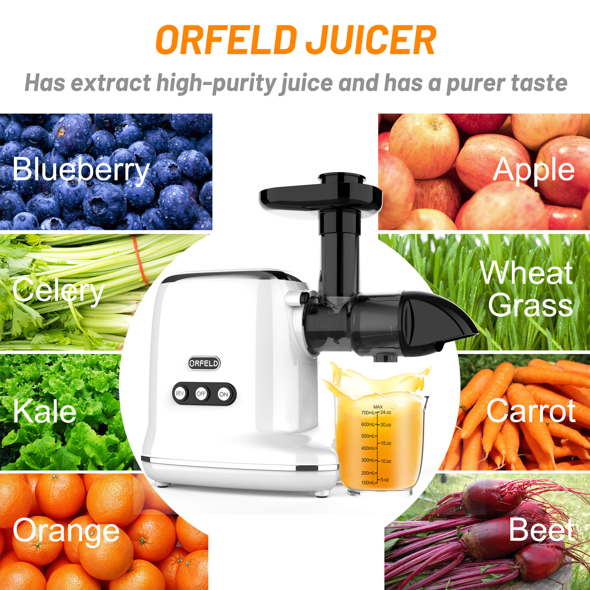 ORFELD Slow Masticating Juicer for Vegetables & Fruits with 90% Juice Yield